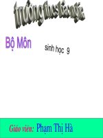 Sinh 9 - Ô nhiễm môi trường