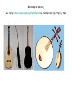 ảnh các loại nhạc cụ.hay lắm