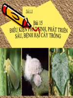 dieu kien phat sinh phat trien sau bệnh hại cây trồng