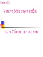 BÀI 29: CẤU TRÚC CÁC LOẠI VIRUT
