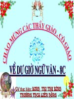 Bai 15 Van ban tuong trinh