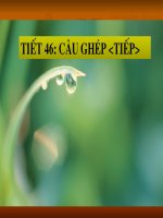 Tiet 46 - cau ghep