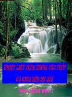 tiet 1- hai goc doi dinh