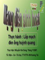 mạng điện sinh hoạt