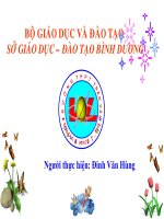 Dòng điện trong chất điện phân (tham khảo)