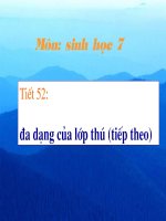 Sinh7: tiết 52 Bộ móng guốc-Bộ linh trưởng