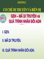 Gen_Mã di truyền và quá trình nhân đôi ADN