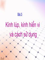 Bài Kính lúp - Kính hiển vi và cách sử dụng