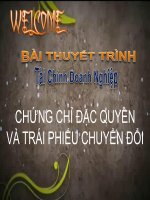 thuyết trình tài chính doanh nghiệp chứng chỉ đặc quyền và trái phiếu chuyển đổi