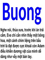 LỄ HỘI KỲ QUÁI NHẤT HÀNH TINH!!