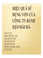 thuyết trình hiệu quả sử dụng vốn của công ty bánh kẹo hải hà