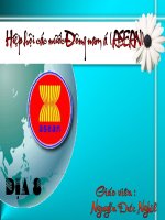 HIỆP HỘI CÁC NƯỚC ĐÔNG NAM Á (ASEAN)