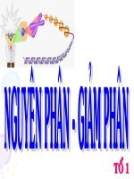 NGUYÊN PHÂN - GIẢM PHÂN