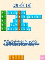 ô chữ hội giảng
