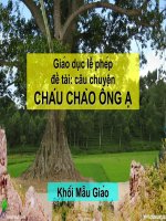 Cháu chào ông ạ