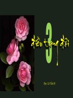 Ba điều trong đời