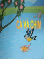 cau chuyen nha tre ca va chim(nha tre)