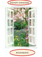 Bộ sưu tập Mùa hè sôi động