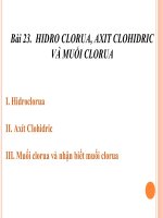 HIDRO CLORUA, AXIT CLOHIDRIC