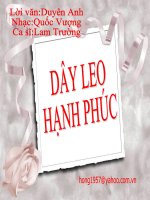 Dây leo hạnh phúc