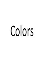 Flash Cards - Colors 1