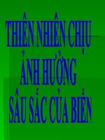 Thiên nhiên chịu ảnh hưởng sâu sắc của Biển
