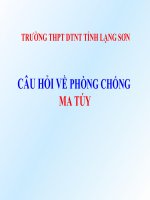 Ngoại khóa phồng chống ma túy PP