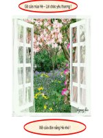 Bộ sưu tập hình động Mùa hè thơ mộng !