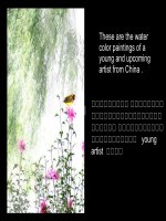 Những bức vẽ mầu nước