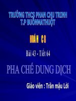 Pha che dung dich (t64)
