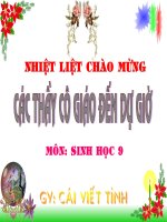 Tiết 30. Bệnh và tật di truyền hay lắm