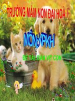 Đề tài : Bé tìm hiểu con vịt