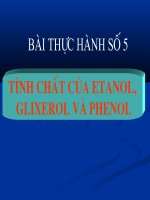 thưc hanh hoa 11