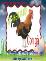 Bài 26: Con gà
