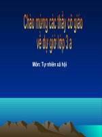 CHIM (TỰ NHIÊN XÃ HỘI LỚP 3)