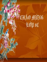 Tiết 63 Ôn tập TV