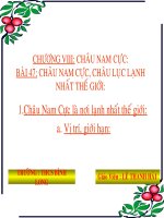 BÀI 47 : CHÂU NAM CỰC .