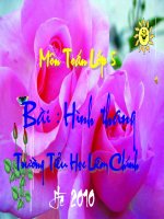 bài giảng hình thang