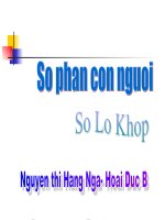so phan con nguoi