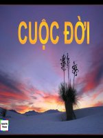 Cuộc sống đầy ý nghĩa