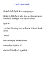 lam nuoc chanh dua hau