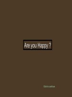 Are You Happy ?