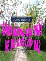 Hóa 8 - Phương trình hóa học