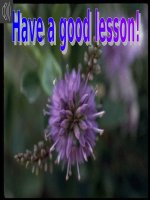 E 6-Unit 13-lesson 5