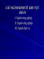 Các ngành kinh tế khu vực ASEAN