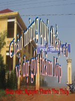 Phân bón hóa học ( công phu - hiệu quả )