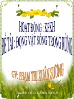 ĐỀ TÀI : MỘT SỐ ĐỘNG VẬT SỐNG TRONG RỪNG