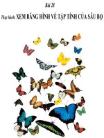 tap tinh cua con trung