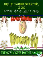 Trang trí cho bài giảng điện tử