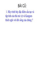 tiết 51. Đa dạng của lớp thú